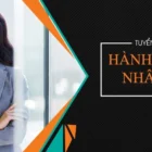 [Nam] Trưởng phòng/Giám đốc hành chính nhân sự, Lương cứng 15-20 triệu + trợ cấp